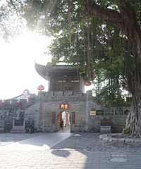 ������կ