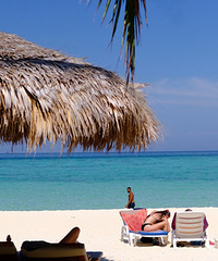 �ɵ��ȴ�������Ӿ