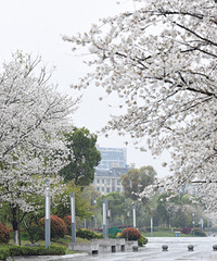 ̨�ݸ���ӣ����