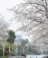 ̨�ݸ���ӣ����