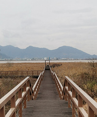 ������԰