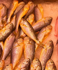 ʮ��̨���ˣ�ʮһ����֪������ʲô