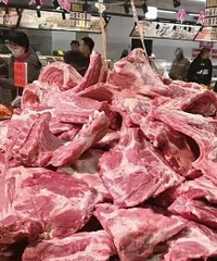 �������Ź��������