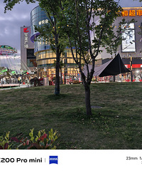 �úõĹ���㳡������ֳ��ˣ�ɶǮ��׬