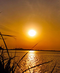 �ƽ�������