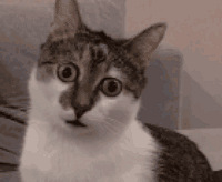 Ϊ��Ů���ڹ�����ð�侯�죿ֱ��ץ��