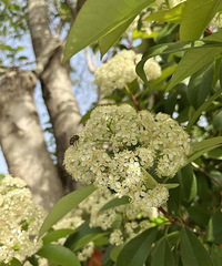 ����ʯ������ǫ̈̄���˵�Ǹ��