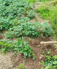 ��Ž����ʵ��߲�