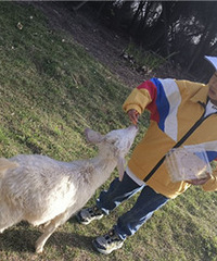 ����Ķ���԰