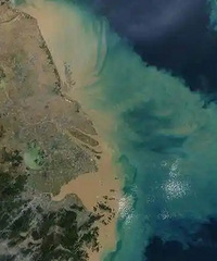 �齭Ϊʲô��ô�ƣ�