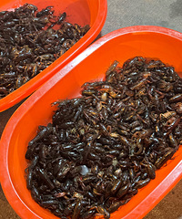 ��򺶼�ܷ�������ϺҲ��ͦ�õģ����ȵ����