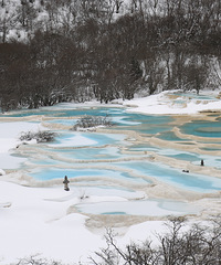 ����ѩ�Ļ�����կ