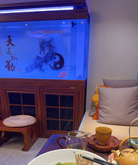 ǰ����±ζ����ʣ��������������