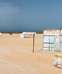 ��լ���ɳĮ�У�����û��һ����