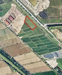 ������ʮ���ؿ���ã�