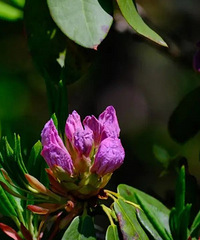 �����һ������̨�������������ع飡