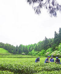 �����һ������̨�������������ع飡