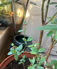 ����50Ԫ�����ݮ��