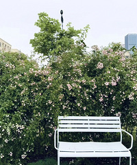 ��߸������ա��� ����������ǽ��ʵ��̫����