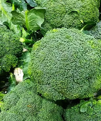 ���ֺ���֤������̨��+1