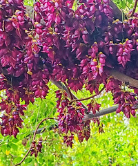 ������죬��̨�����������ؾ�