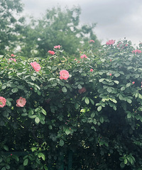 ������죬��̨�����������ؾ�