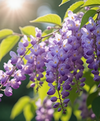 ����������ͣ���������ٻ������ˣ������򿨡�