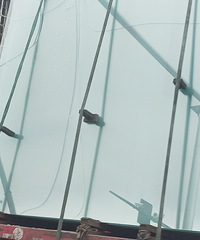 �޸��ˣ�����ȥ��