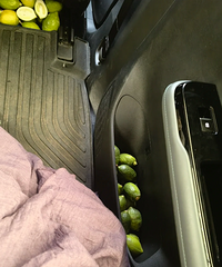 �ĸ���Ը����������Լ����˭�����ֽ��ѣ��ϳ����ڲ��ǳ��ޱ�ζ��