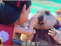 ����һС����ĵ�¿�������ſᣬ���������ˡ���