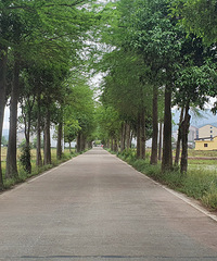 ���������̵��߸˴�׮�Ѿ����룬���ﲻͬ�⣬��ʲô�취��