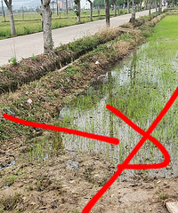 ���������̵��߸˴�׮�Ѿ����룬���ﲻͬ�⣬��ʲô�취��