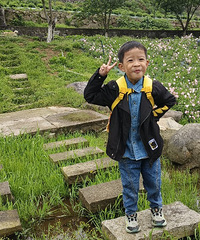 ������뻨�������е�࣬ȫ�����Ż����е��۵�