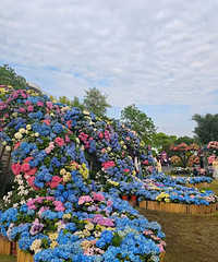 ��2025������԰����ֳ���̫���Ļ����ڵ�������