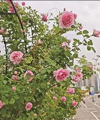 ̨��ӭ�����¼�ʱ�䡱����ʵ�桰Ī�λ�԰������