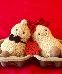 jellycatС����̫�ʺϽ����