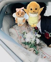 ����ϲ��ץ�ĺͽ�Ƭ��û�й������ǵ�����