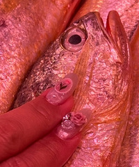 �������ټǳԲ��𣬲˳������Լ۱�