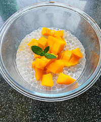 �������ʲô��â������¶