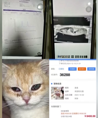 Сè������ʲô����˼�����������̼��У�