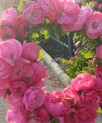 һϦ��������˿�����⸡�̲߱β