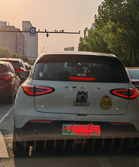 ����������������ǲ���������