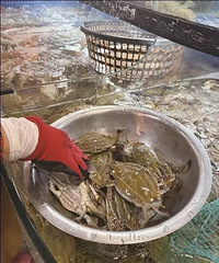 5��1������붫�������ڣ��г������ʴ�ս��