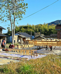 ɽ��ʰӰ���ɾ��ع�·����ƺ��