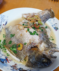 �������ʲô�����������