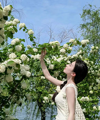 ����һ����ȥ��̨��ֲ��԰�������ߣ�̫��Ƭ�ˣ�