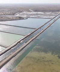 �Ժ���Ե�������з����������ɳĮ��