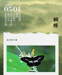 �𱬣����ɾӾ���5��2����ƱԤԼ����