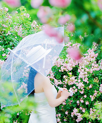 ������������򿨵أ�����Ǿޱ����̫��̫��Ƭ