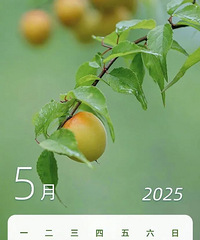 �¹���һ���У���Ƽ�ʱ�䡢�ص�ȫ������